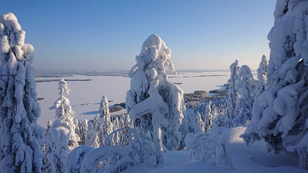 Kolin kansallispuisto – Suomen ikoniset maisemat