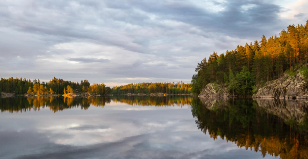 Linnansaari National Park – Home of the Saimaa Seal