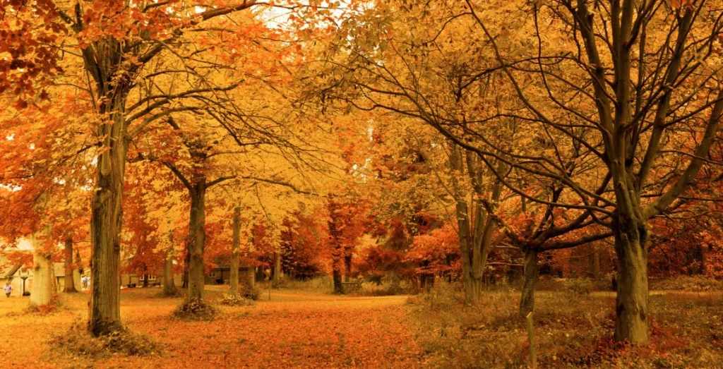 (syyskuu–marraskuu) Syksy Suomessa