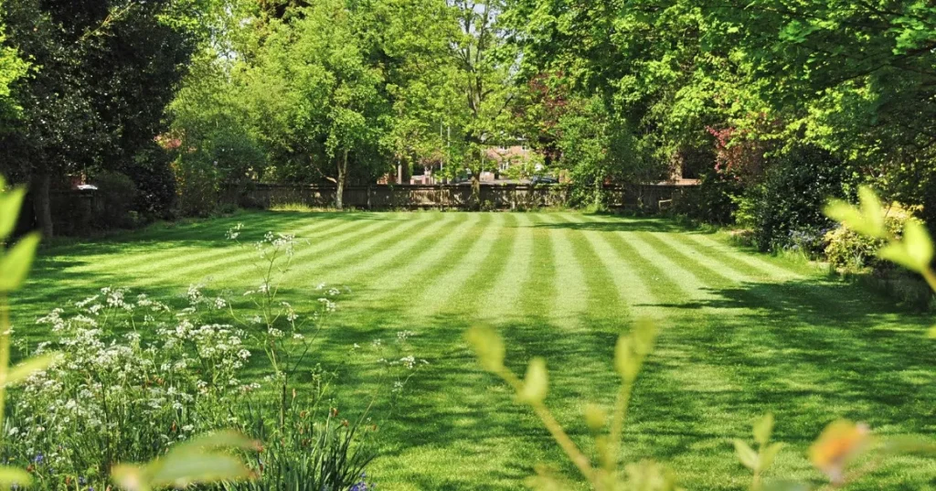 (kesäkuu–elokuu) KesäSuomessa