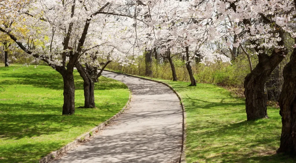 (joulukuu–helmikuu) Talvi Suomessa