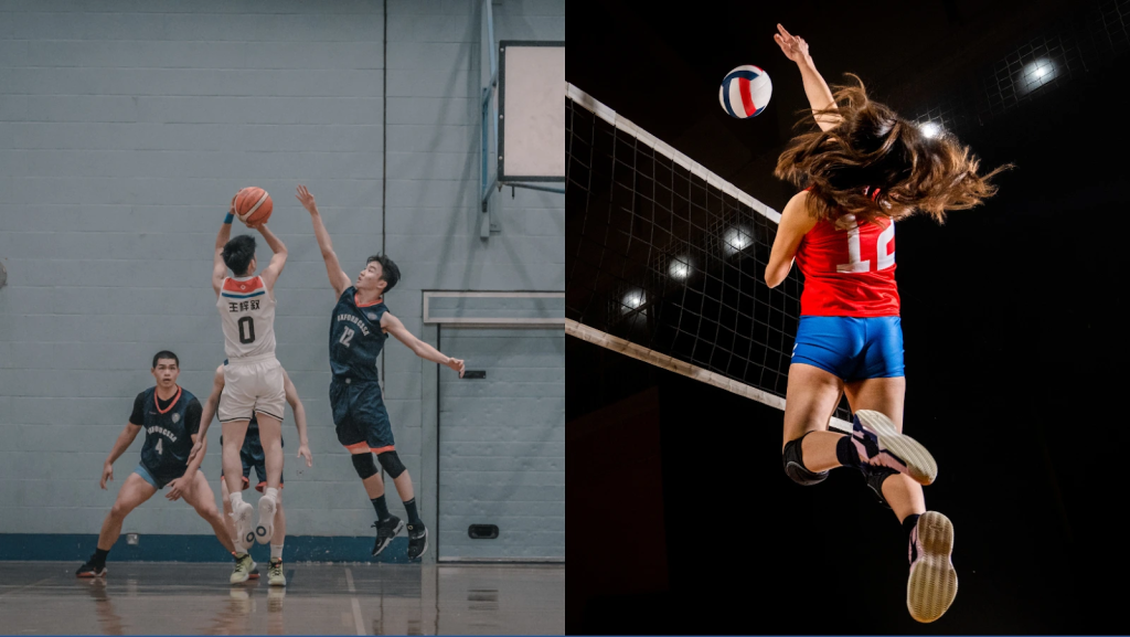 Lentopallon ja koripallon historia