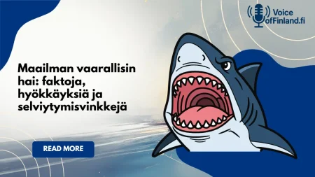 Maailman vaarallisin hai: faktoja, hyökkäyksiä ja selviytymisvinkkejä Maailman vaarallisin hai