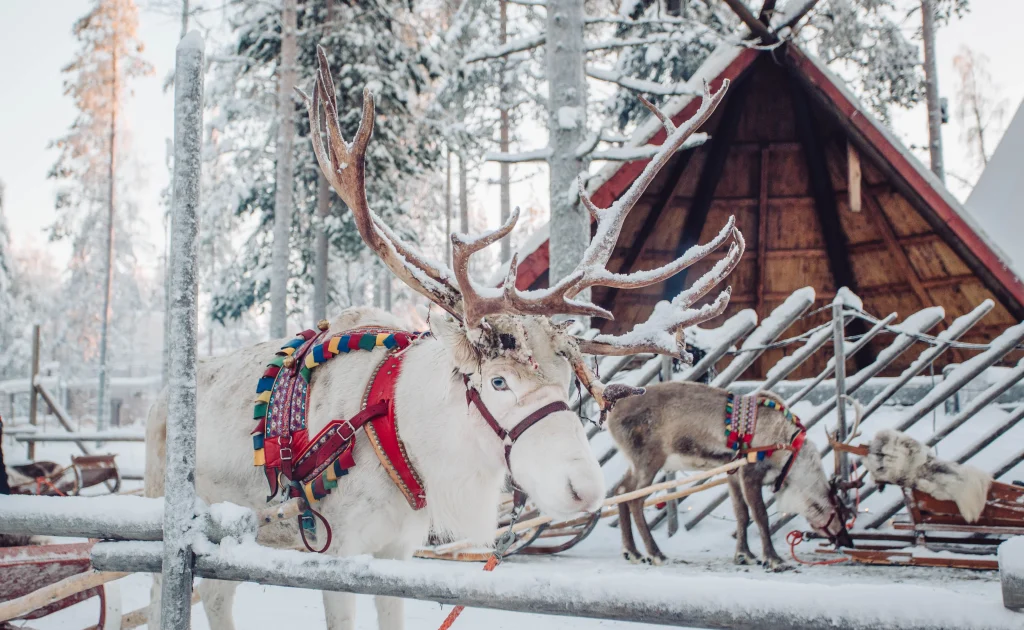 joulua vietetään Suomessa